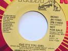 JAMES WALSH GYPSY BAND Cuz It’s You Girl RCA 45 northern soul VG+ 7” HEAR