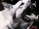 Damien Every Dog Has Its Day Steamhammer Vinyl LP