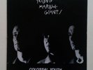Young Marble Giants - Colossal Youth - Vinyl LP UK 1980
