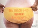 RARE BEACH BOYS LP w alternate cover BIGGEST HITS RCA Camden CAS-2371 cheesecake