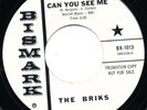 THE BRIKS Can You See Me BIZMARK BK-1013 RARE Garage Rock 45 VINYL Texas Punk