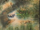 ROCK LP - PINK FLOYD 