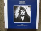 Sandy Denny 4-LP U.S. box set with booklet
