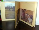 I POOH  UN PO DEL NOSTRO TEMPO MIGLIORE I^ PRESS LP CBS LABEL ORANGE  GC + BOOK