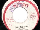 OBSCURE 1976 ROOTS REGGAE - JUNIOR DAN - MR BIG SHOT - ORIG HI TRY 7