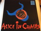 Alice in Chains Them Bones 12