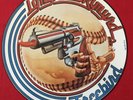 LYNYRD SKYNYRD   FREEBIRD PICTURE DISC VINYL LP RECORD   MCATP 251