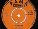 ? LISTEN - in-demand TERMITES killer  - Push It Up on PAMA PM 729 from 1968