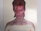 David Bowie Aladdin Sane  -12