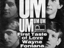 Wayne Fontana & The Mindbenders - Um, Um, Um, Um, Um. - Vinyl-Single 7