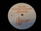 Joe Lewis ?– The Beginning And The Ending 12