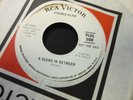 Stained Glass - A scene between / Mediocre me 45 1967 promo  garage psych