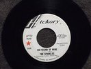 THE SPARKLES No Friend of Mine HICKORY 1443 DJ Listen  GARAGE/PSYCH