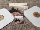 the vindictives many moods of...lp queers screeching weasel lookout records nofx