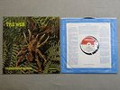 THE WEB Theraphosa Blondi DERAM LP   P-1W & P-1W   SML-R 1058
