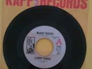Larry Banks 45rpm - Muddy Water/I'm Not The One 1967 RARE PROMO