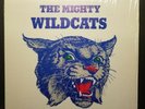 The Mighty Wildcats University of Kentucky 1981 LP College Sports Country Songs