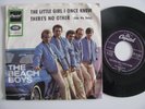 Beach Boys Car Cover 7
