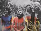 Tamam Shud - Evolution [LP] VINYL LP NEW