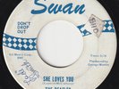 The Beatles U.S. Swan Promo 4152 Blue Print She Love You/I'll Get You