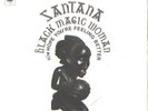 SANTANA--PICTURE SLEEVE+45--(BLACK MAGIC WOMAN)--PS--PIC--SLV