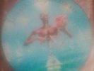 Iron maiden seventh son of a seventh son picture disc