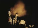 Riot Act by Pearl Jam (Vinyl, Nov-2017, 2LP, Epic, Gatefold) *NEW* *FREE Ship*