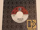 The Doors / Light My Fire / Stock copy 45 with rare Co. Sleeve / Mint