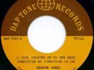 Sharon Jones The Dap-Kings I Just Dropped In vinyl 7” 45RPM Funk Soul