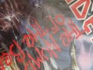 Number of the Beast [Limited Edition Picture Disc] by Iron Maiden (Vinyl,...