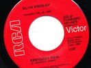 Elvis Presley 45 RARE RED LABEL Kentucky Rain MY LITTLE FRIEND 47-0675 Gold RCA