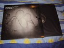 Kate Bush - 50 Words for Snow - RARE Double Vinyl LP album 2011