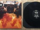 TAD - Salt Lick 12