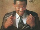 VANDROSS, Luther - Never Too Much (remastered) - Vinyl (LP)