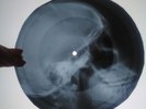 Elvis Presley All Shook Up X-RAY USSR ROENTGEN Bones Record