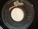 DEAD OR ALIVE - Brand New Lover / Im Too Deep  - RARE COSTA RICA 45