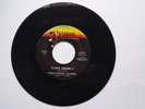 Hollywood Flames - Dance Senorita / Annie Don't Love Me No More SYMBOL VG++