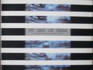 MY DAD IS DEAD- VINYL DO-LP- THE TALLER YOU ARE THE SHORTER... HOMESTEAD