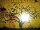 180g Vinyl LP Dozer ?– Beyond Colossal Stoner Rock Queens of the Stone Age Kyuss