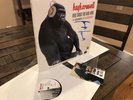 Signed Hugh Cornwell - New Songs for King Kong 2 Record Album