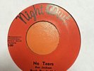 garage folk breakbeat 45 PYNK PEACH MOB no tears NIGHT OWL listen