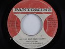 Reggae 45 RICHARD MCXDONALD Anyone Who Had A Heart PANTOMINE HEAR
