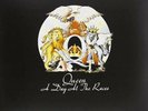 Queen: A Day at the Races (180Gv) LP