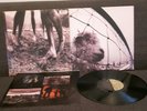 Pearl Jam VS Vinyl/LP/Schallplatte 1993 Grunge