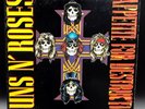 GUNS N ROSES ULTRA SONIC CLEAN APPETITE FOR DESTRUCTION 12