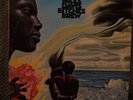 Miles Davis- Bitches Brew LP - EX