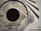 CHAIRMEN OF THE BOARD - WHAT'S THE USE-RARE NEW ISSUE SINGLE -INVICTUS 45 MINT