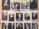 Private Niscience Folk LP Free In The Esse Ann Ree Colton Foundation HEAR Rare