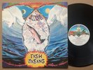 STEVE HILLAGE - FISH RISING ? UK PROG LP ? ORIGINAL UK VIRGIN LABEL INSERT GONG