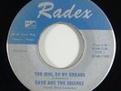 Dave and the Squires 